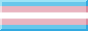 trans flag